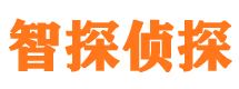 平邑市侦探公司